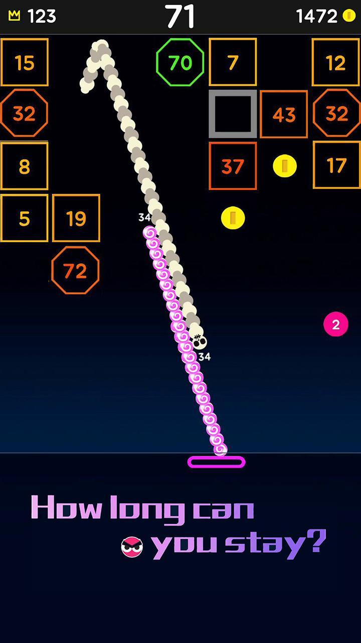 Snake Bricks Game Screenshot