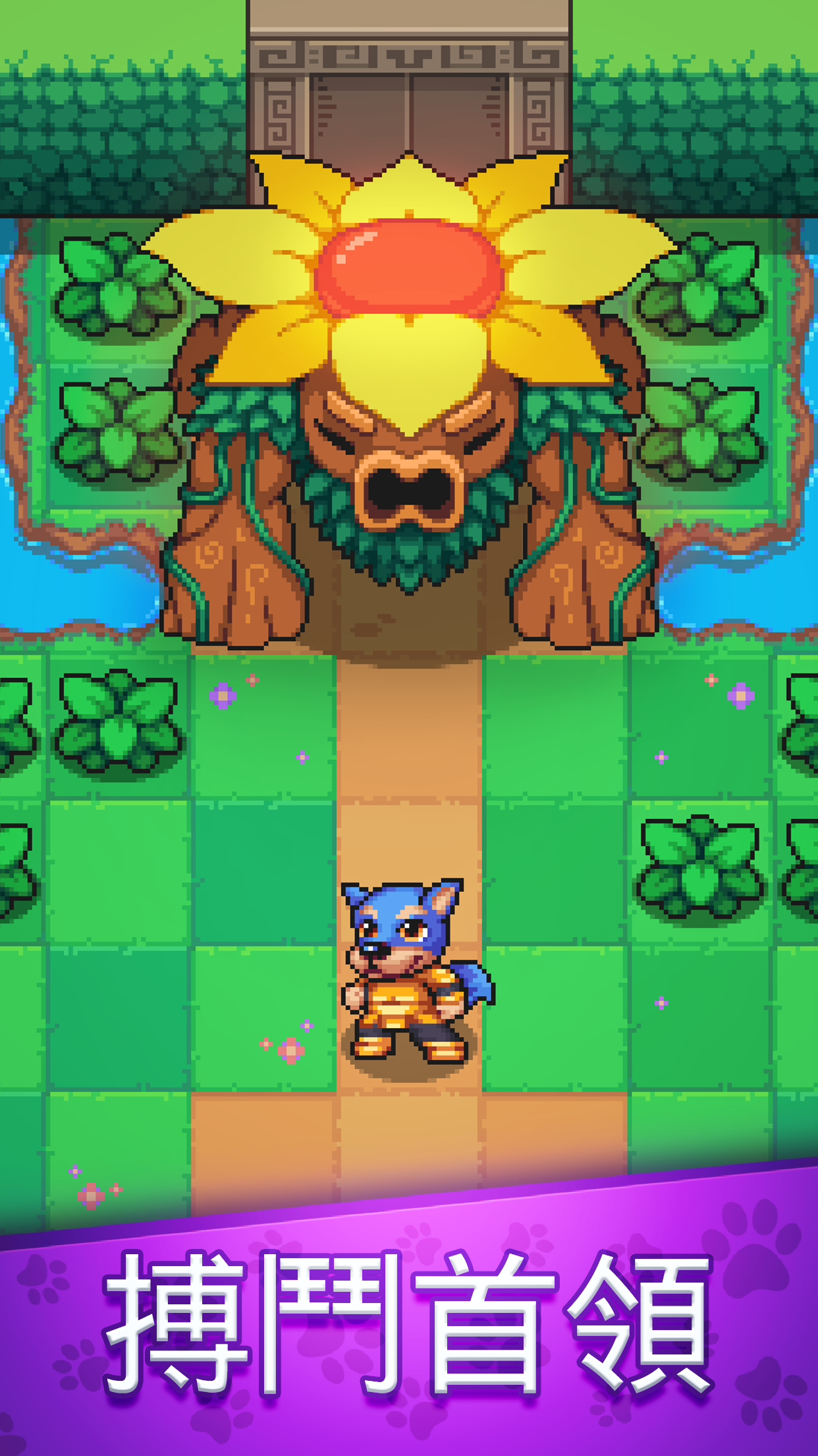 霍皮亞大冒險 遊戲截圖