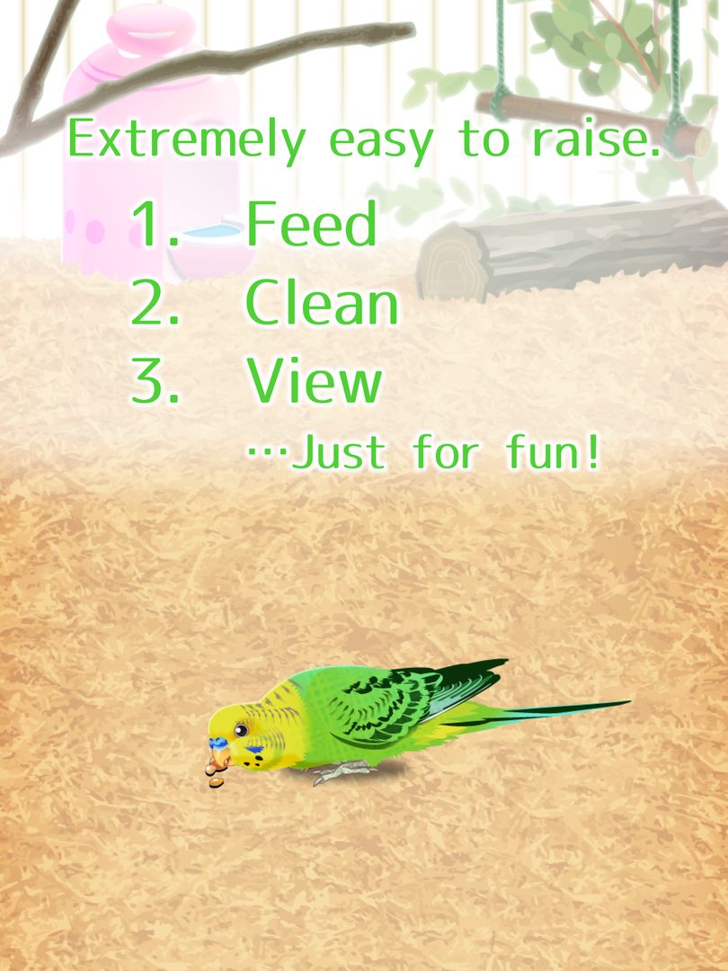 Parakeet Pet screenshot game