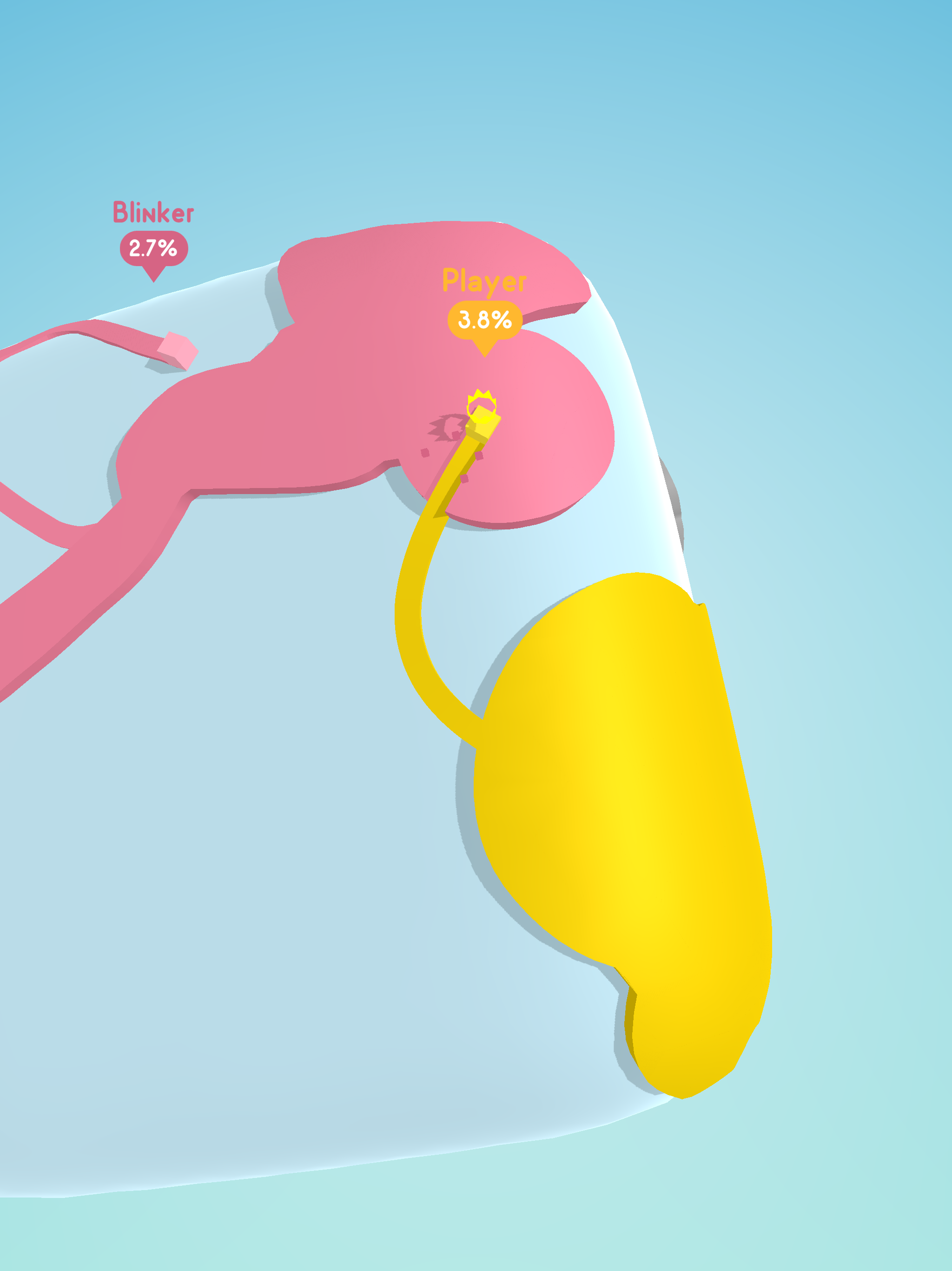 Paper.io 3D Game Screenshot