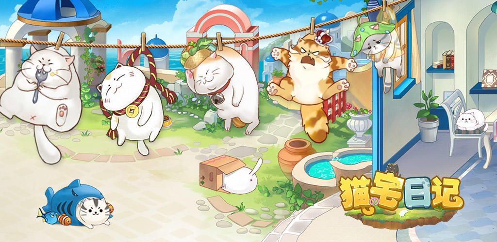 Screenshot of the video of 猫宅日记