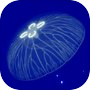 Icon of Cozy Jellyfish: Relax Aquarium