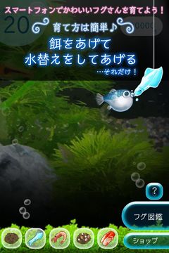 ぼくのフグさん水族館 【無料でかわいい育成ゲーム】 Game Screenshot