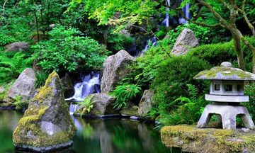 Astonishing Garden Escape Game Screenshot