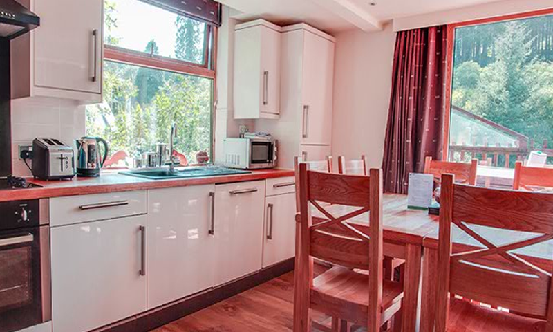 Golden Oak Tree House Escape Game Screenshot