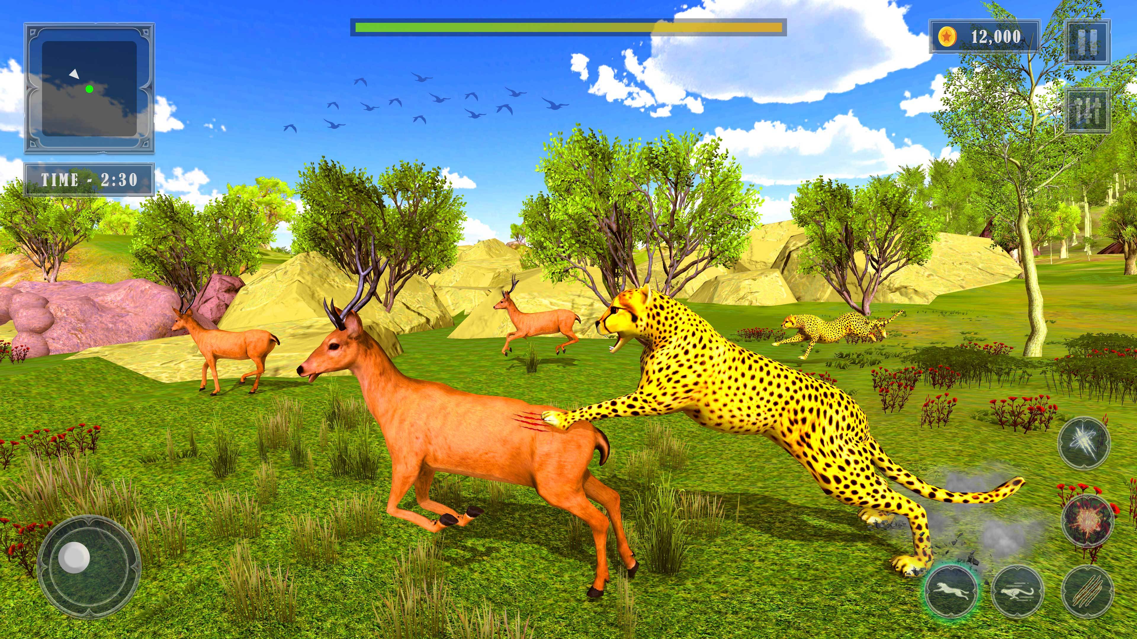 Cheetah Sim Wild Animal Games Game Screenshot