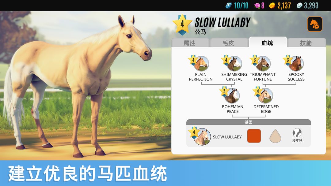 家族传奇： 马匹养成竞技 screenshot game