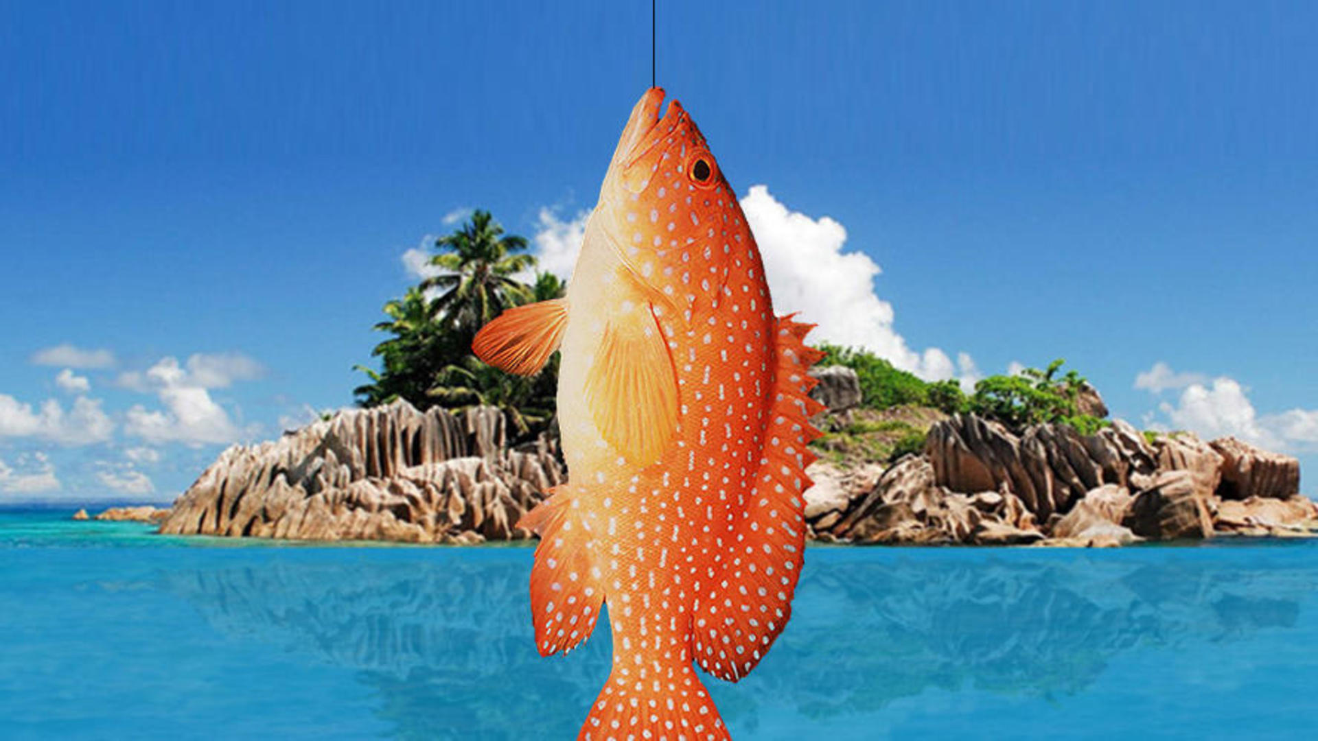 Banner of aventure de pêche 