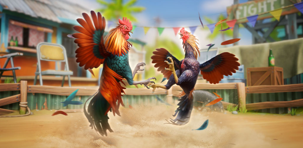 Rooster Fights