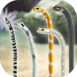 Garden Eel Pet