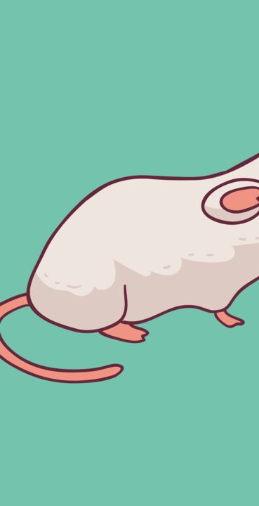Ảnh chụp màn hình Mouses Attack Game