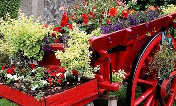 Beautiful Flower Garden Escape ภาพหน้าจอเกม