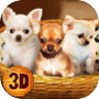 Icon of Chihuahua Dog Simulator 3D