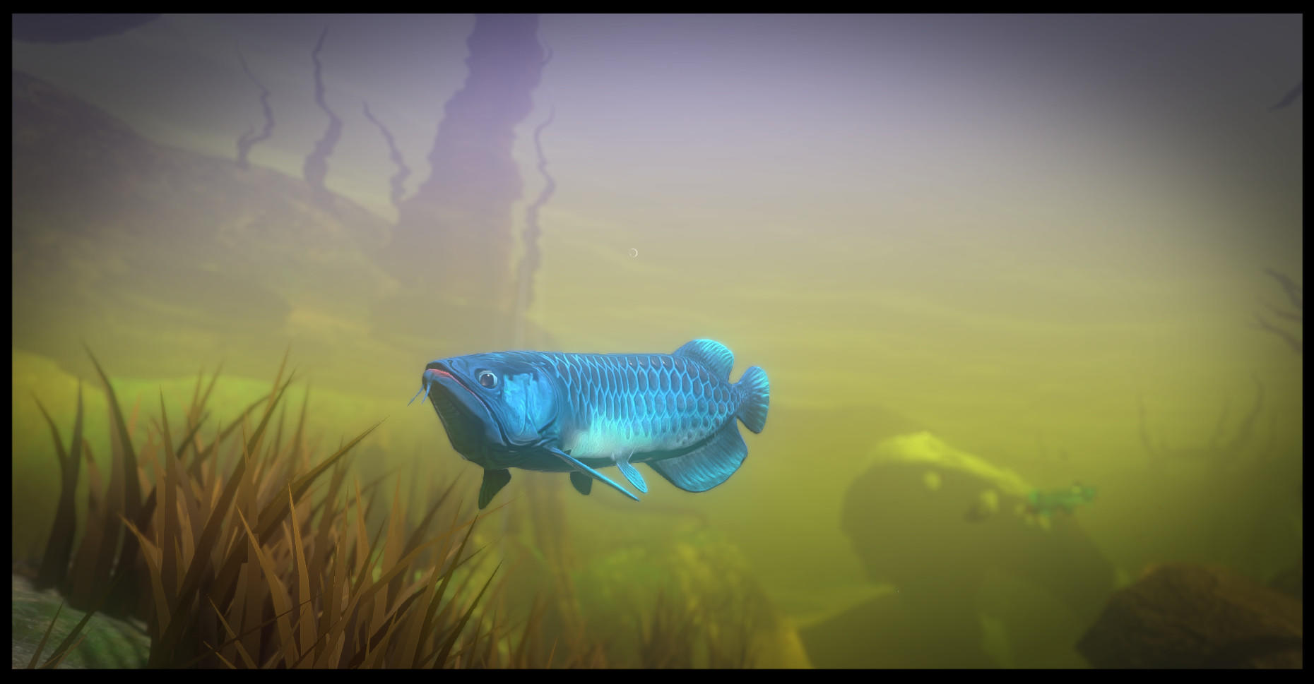Fish Feed Grow Jogos Xbox One