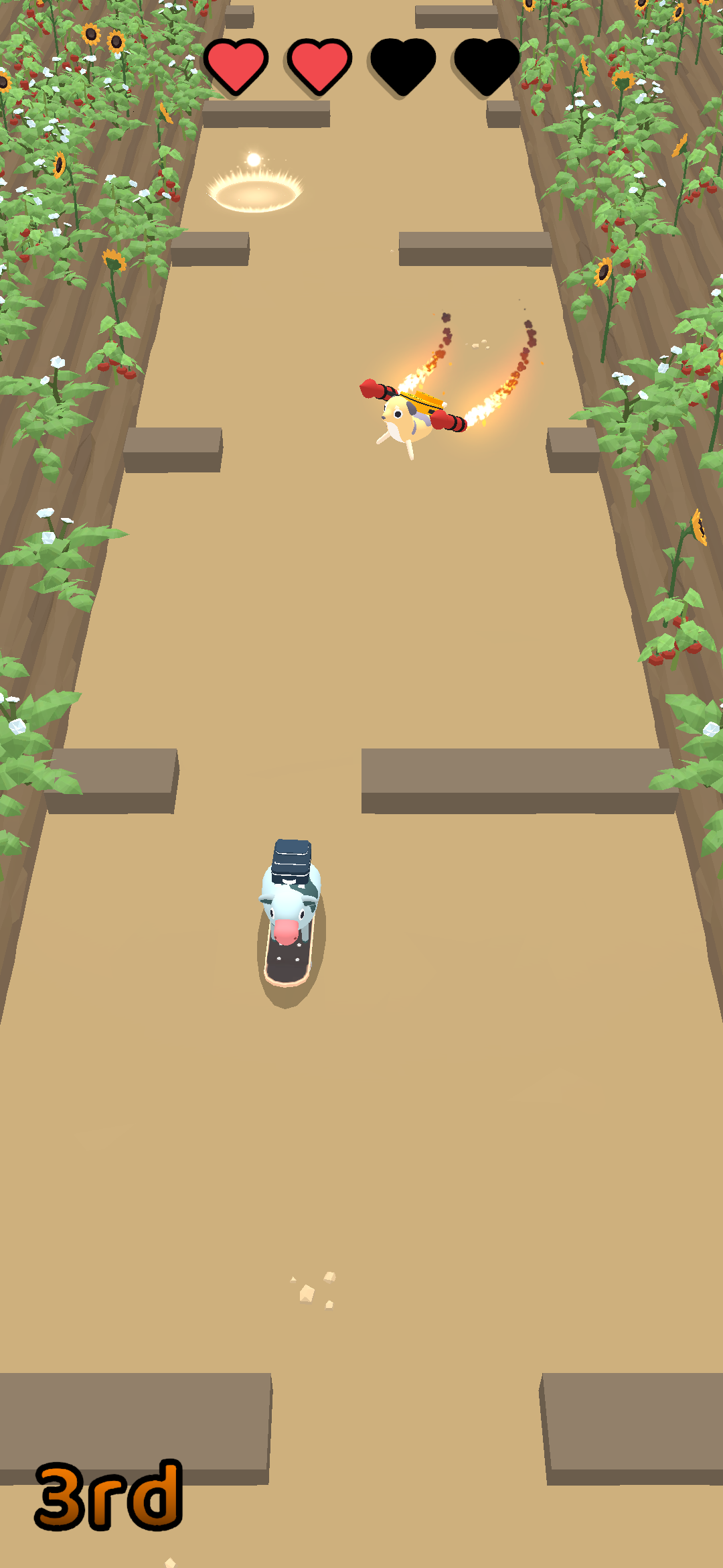 Skatymals Game Screenshot