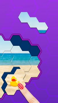 Hexa Jigsaw Puzzle ® Game Screenshot
