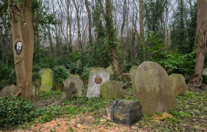 Escape Game Challenge - Cemetery Game Screenshot