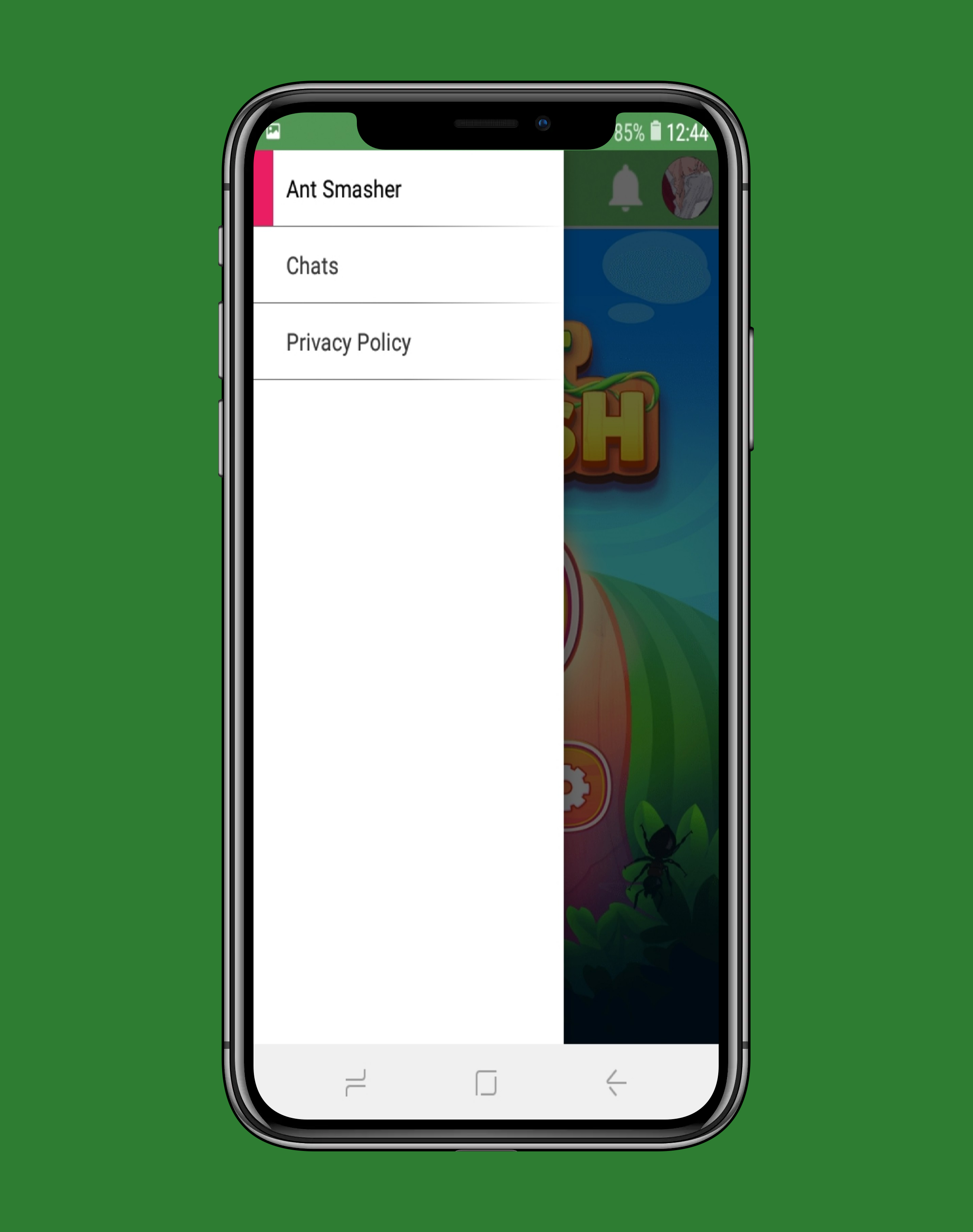 Ant Smasher Game Screenshot