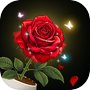 Icon of Garden Flourish