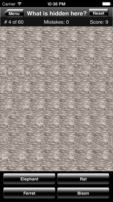 Magic Eye Animal Quiz Game Screenshot