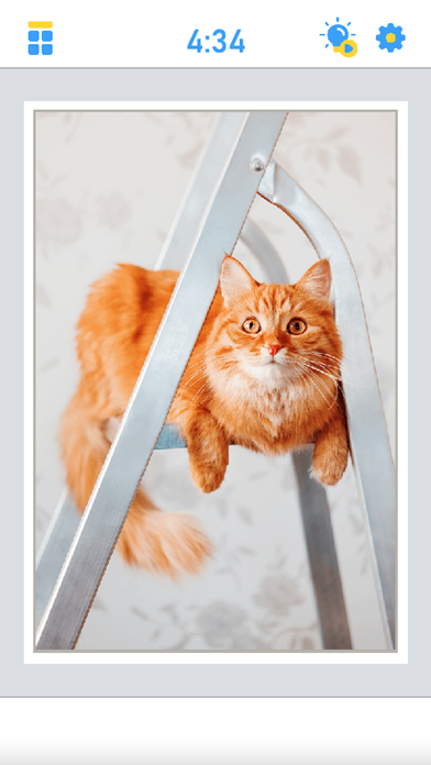 Antistress Jigsaw Puzzle ภาพหน้าจอเกม