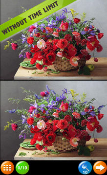 Скриншот игры Find the Difference adults kid