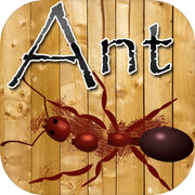 Ant Crusher-Spiel HD