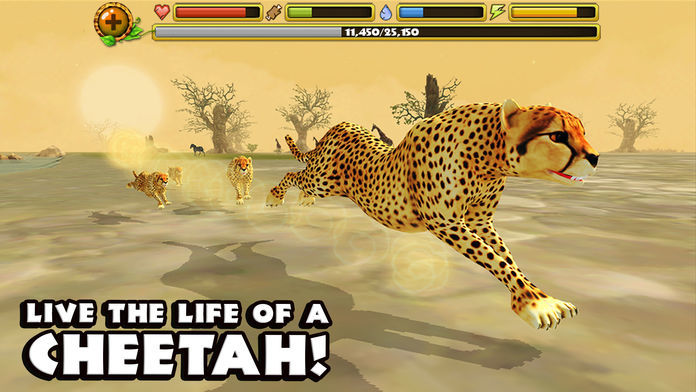 Cheetah Simulator 게임 스크린 샷