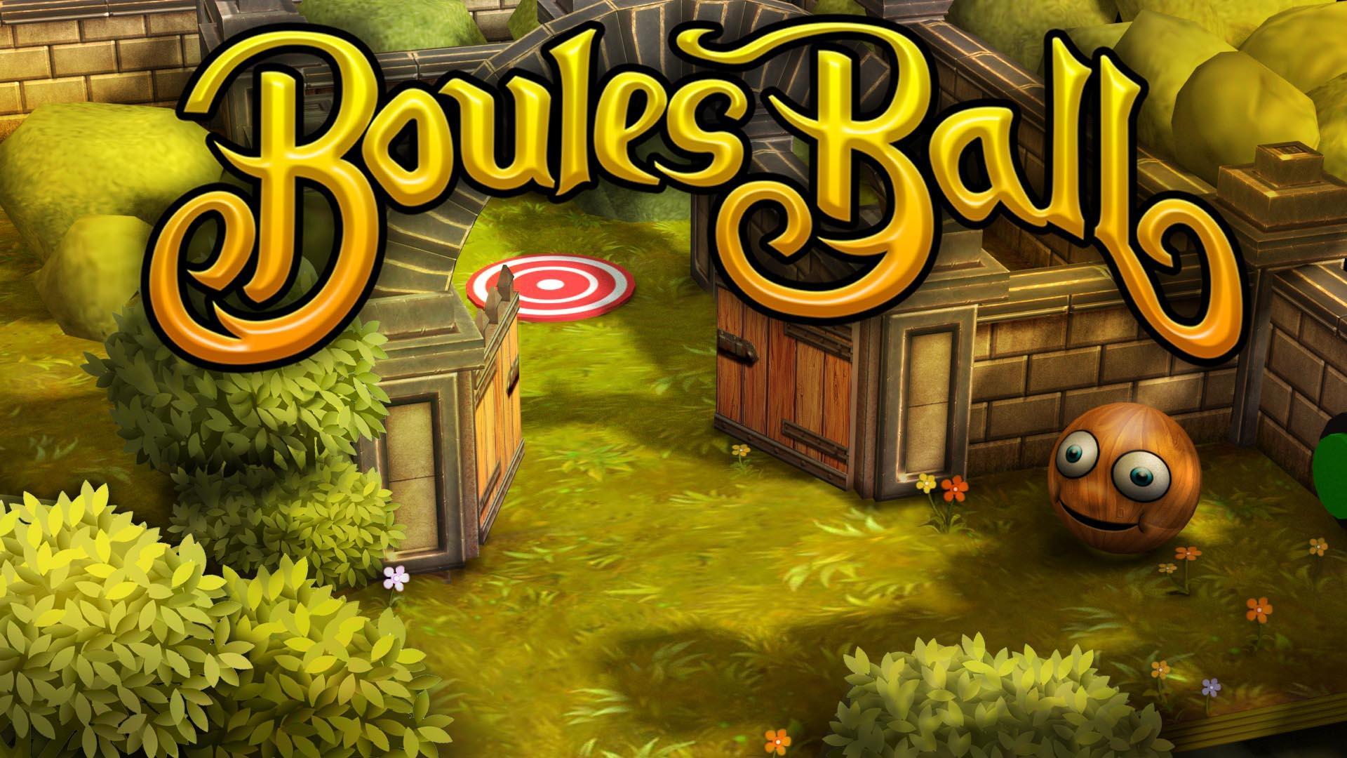 Boules Ball Game Screenshot