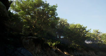 Shadow Falls Game Screenshot