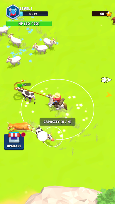 Animal Tamer 3D Game Screenshot