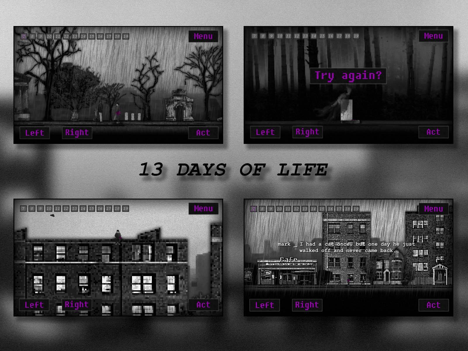 13 DAYS OF LIFE Game Screenshot