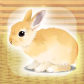 Virtual Therapeutic Rabbit Pet for Android/iOS - TapTap