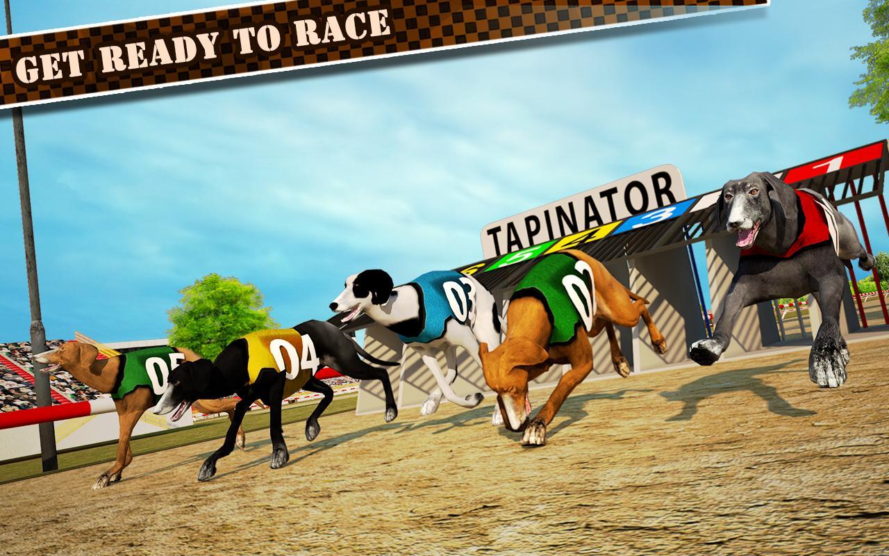 Dog Race & Stunts 2016 Game Screenshot
