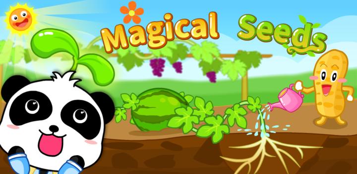 Banner of Baby Panda Magical Seeds 8.22.00.00
