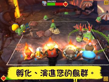 Angry Birds Evolution 遊戲截圖