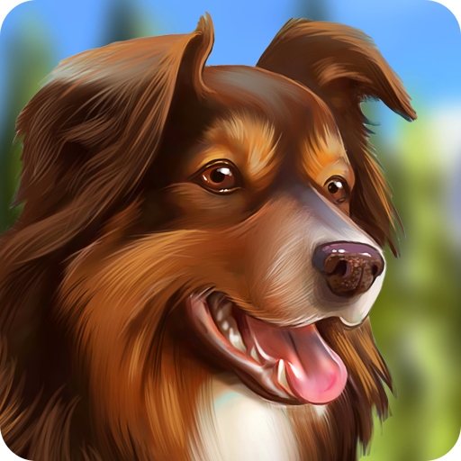 Dog Hotel – Play with dogs