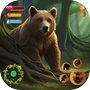 Epic Bear Wildlife Adventure