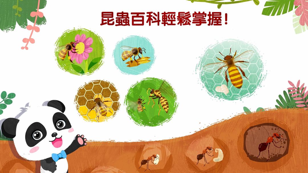奇妙昆蟲世界遊戲截圖