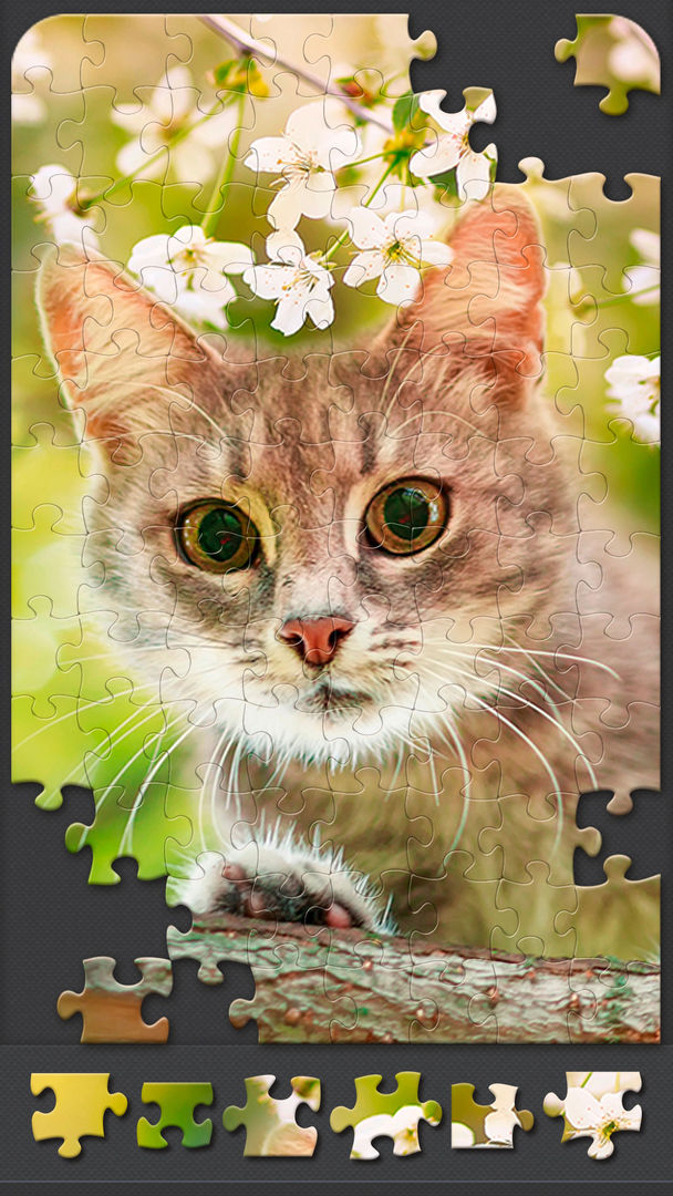 Jigsaw Puzzles for Adults遊戲截圖