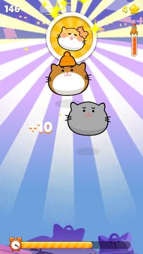 Crazy Kitty Tap Game Screenshot