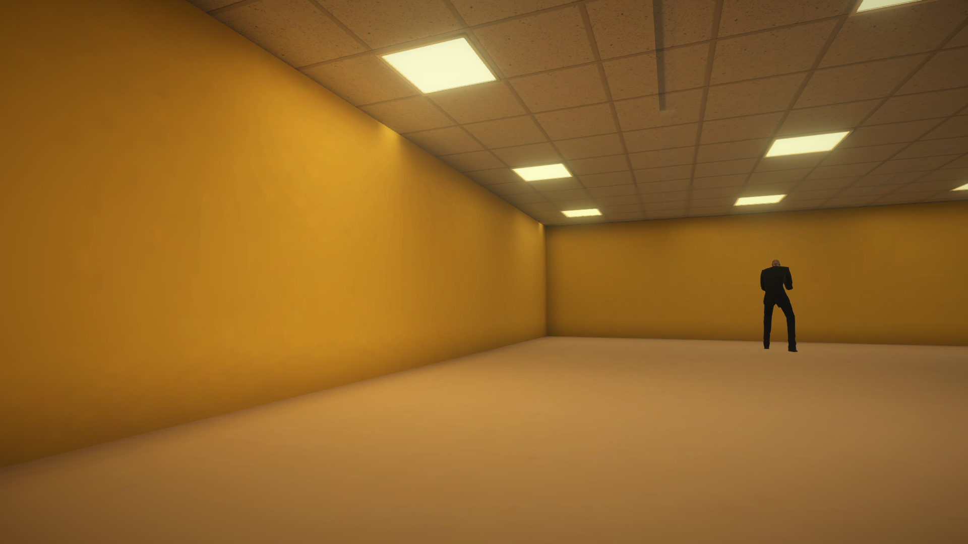 Backrooms Chaos Game Screenshot