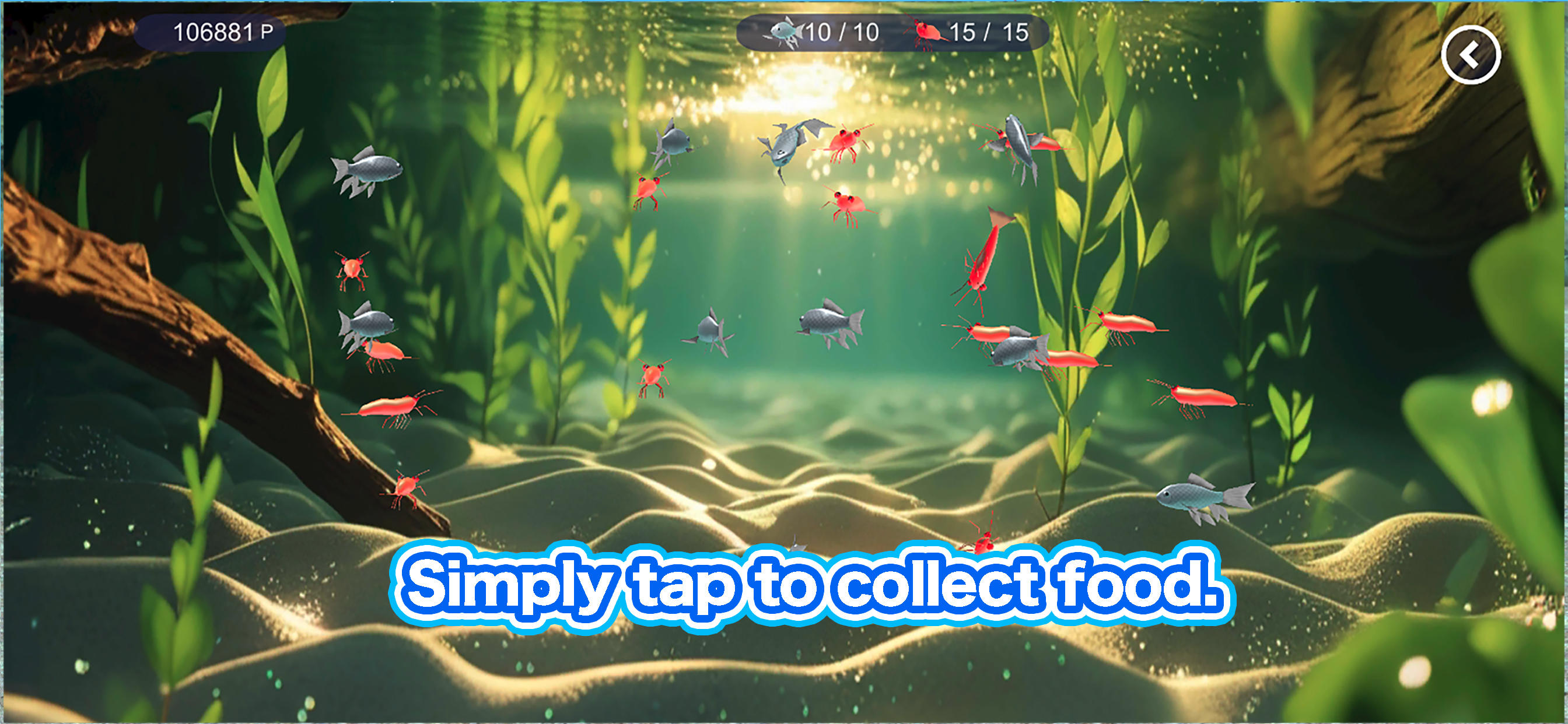 Redtail catfish Aquarium Game Screenshot