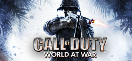 Banner of Call of Duty: Dunia berperang 