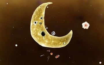 Botanicula Game Screenshot