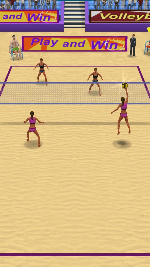 Summer Sports: Volleyball screenshot game