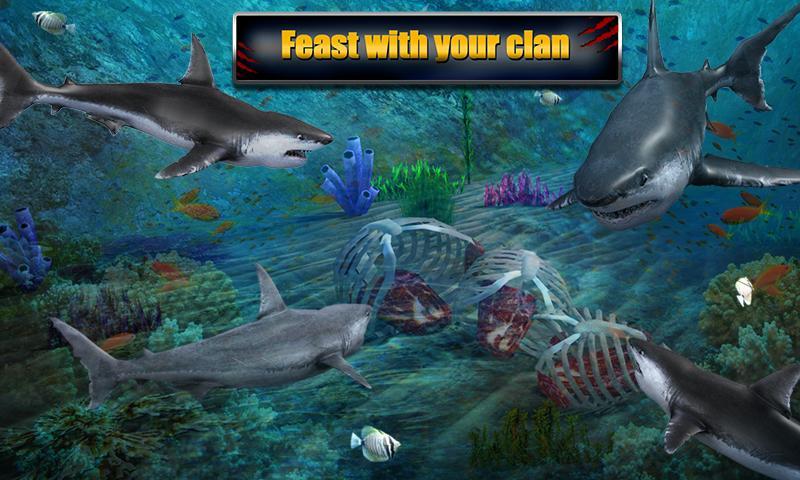 Angry Shark Adventures 3D Game Screenshot