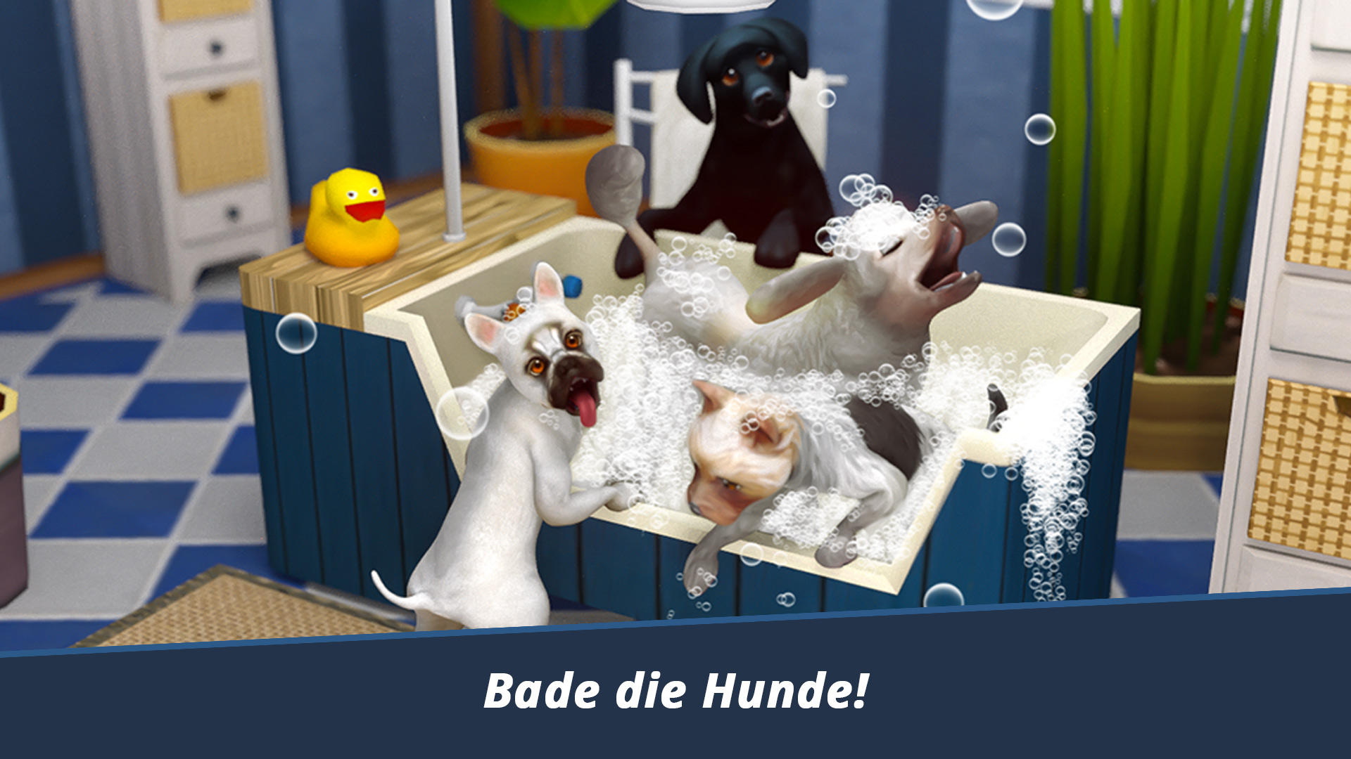 Screenshot 1 of DogHotel – Spiele mit Hunden 