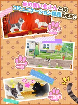 Cuplikan Layar Game てのひらニャンコ