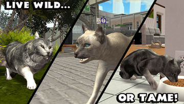 Скриншот игры Ultimate Cat Simulator